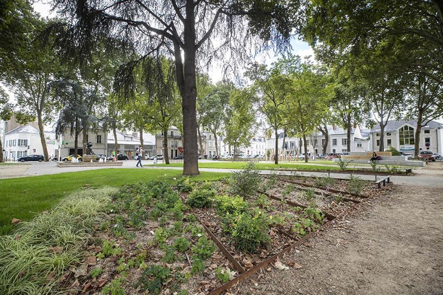 Calme Avec Parking Proche Place Ney Apartment Angers